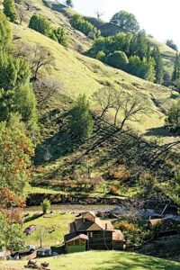 A Debt Free Home from Salvaged Material (and Trial and Error) Image